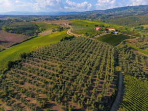 Agriturismo Luggiano Vinci